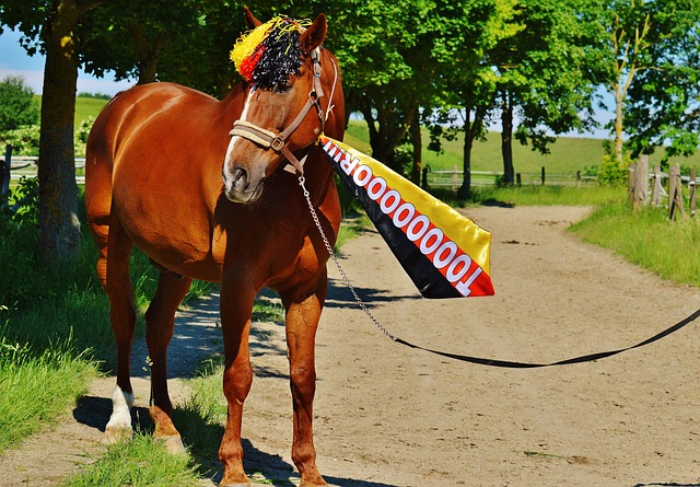 这或许是一 这或许是一