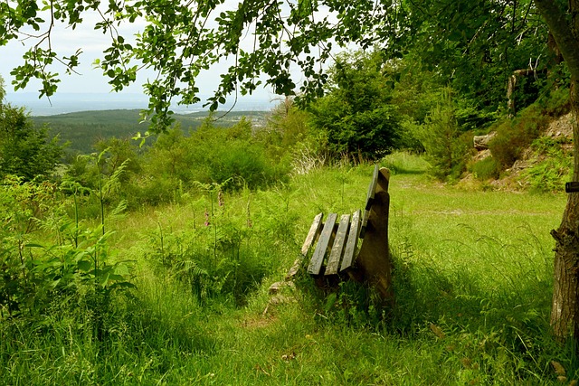 的心态正是 的心态正是