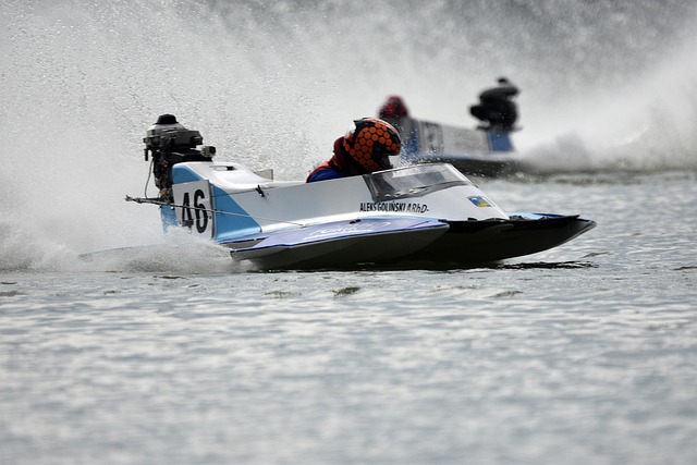 素的影响 素的影响