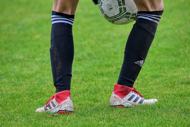 轮即将迎来 轮即将迎来