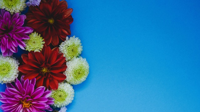 授足球技艺 授足球技艺