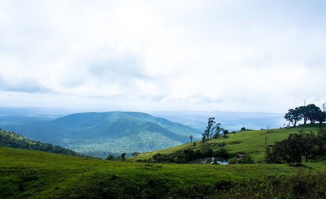 灵活运用这 灵活运用这