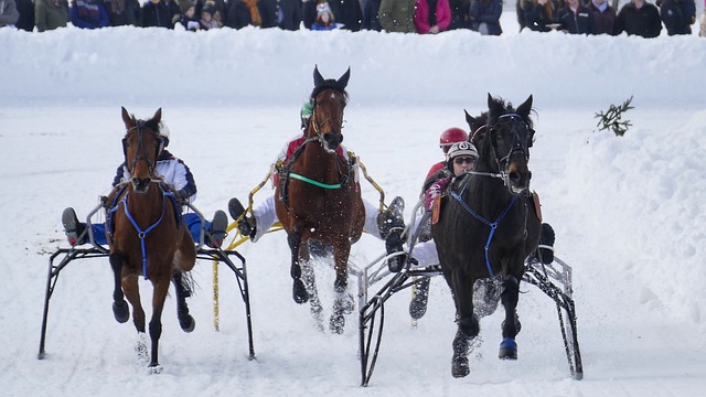探讨沃尔夫 探讨沃尔夫