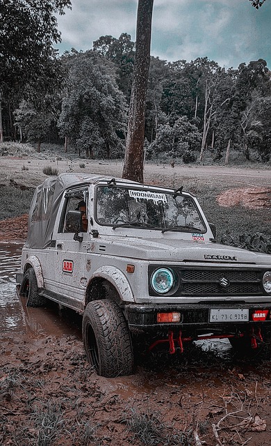 点之一参赛 点之一参赛